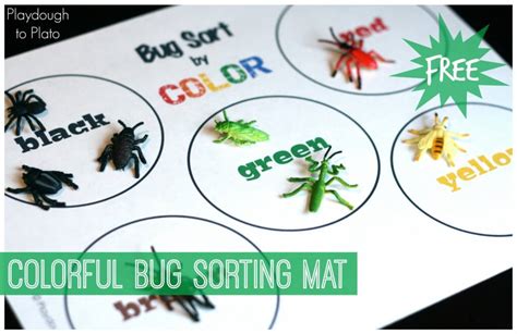 insect games|Bug & Insect Games .